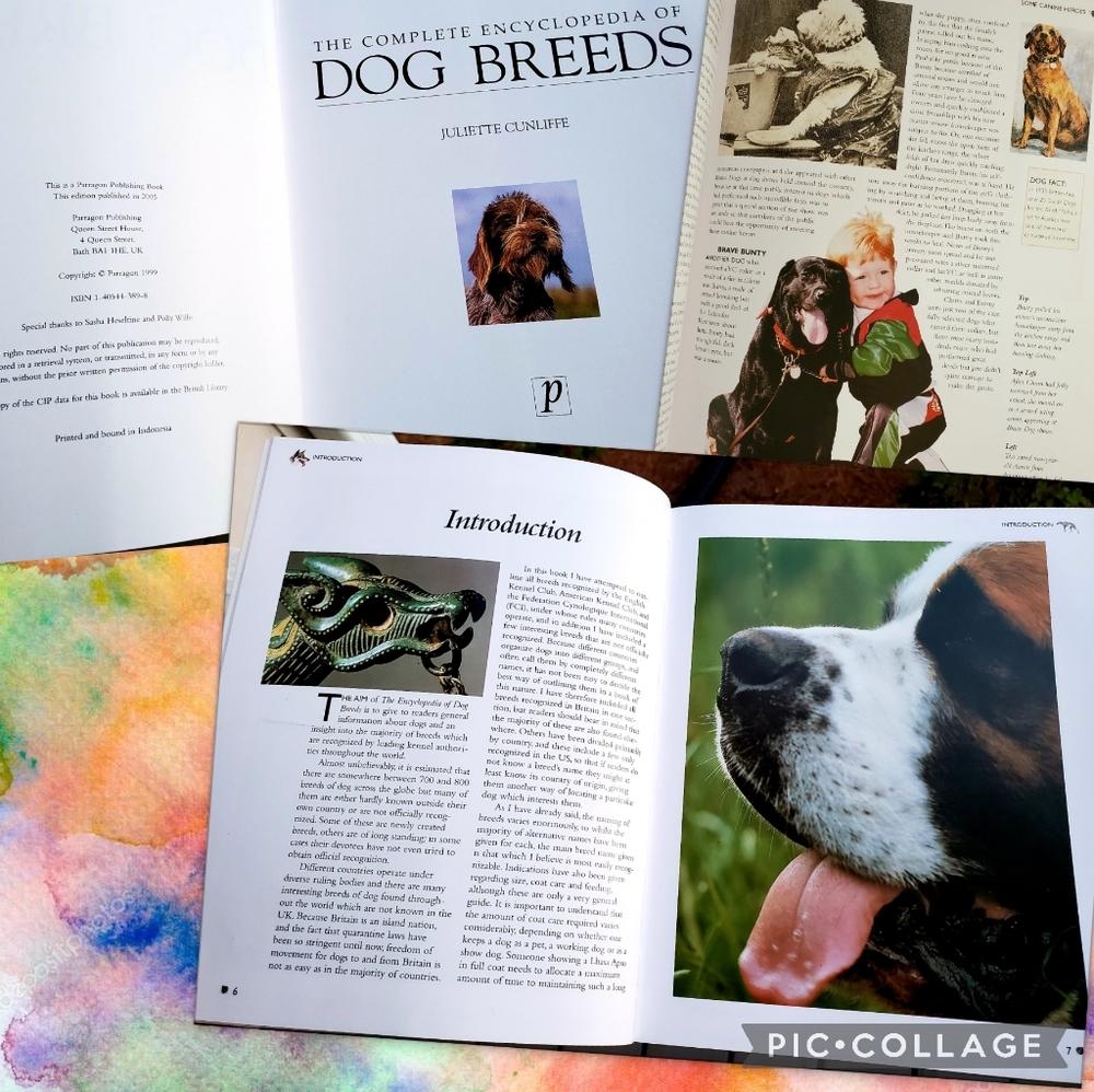 The Complete Encyclopedia of Dog Breeds - Picture 4 of 10